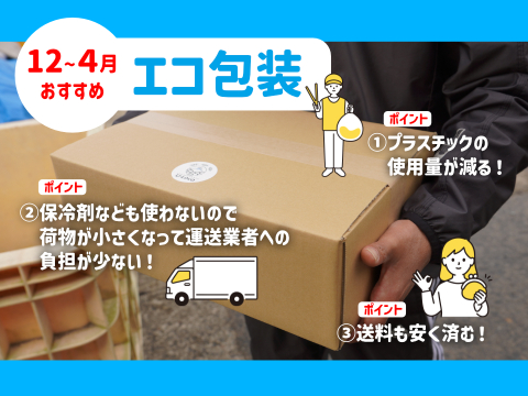 下処理⇒即日発送！ロコフィッシュ鮮魚ボックス1kg【エコ包装】