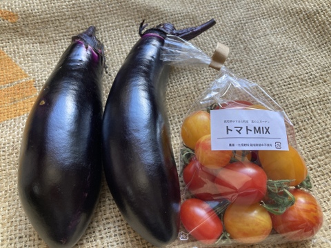 ☀️太陽にちょっぴり近い畑の☀️　季節の野菜セット【7品目】＃栽培期間中農薬・化学肥料不使用