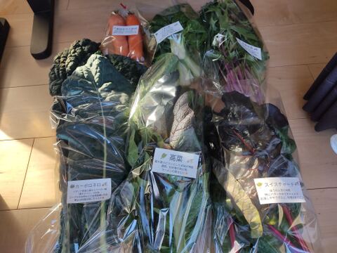 ✨【福袋】レアベジ・カボチャ含むお野菜セット（農薬・化成肥料不使用）おまけ付✨