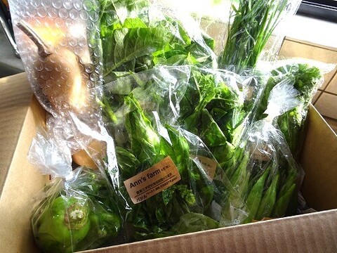 旬の野菜セット(8~10品)