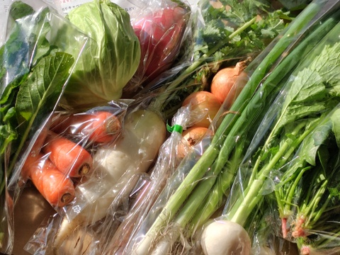 畑から直送! 野菜ソムリエ農家　旬のカラフル野菜セット(約7,8品目)