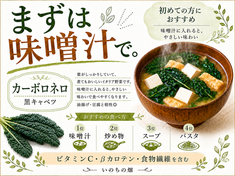 【毎日のスープに】カーボロネロ約600g｜黒キャベツ・栽培期間中 農薬・化学肥料不使用