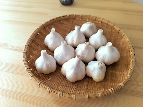 ✨青森県十和田産｜濃厚旨味のホクホクにんにく500ｇ✨