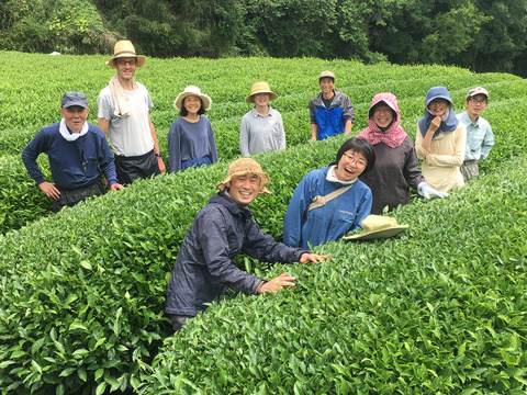 べにふうき専門茶園のお得な有機和紅茶＆緑茶セット