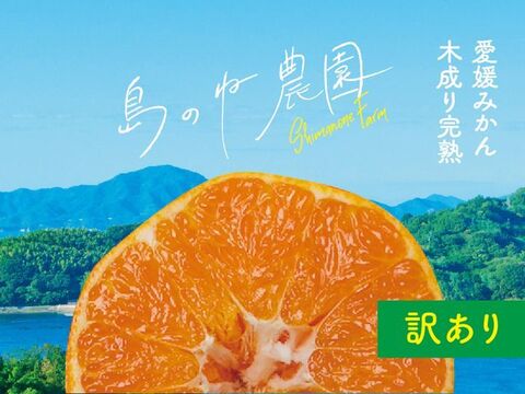 【訳あり】島のね デコ【愛媛みかん/木成り完熟/サイズ混合/3.5kg】