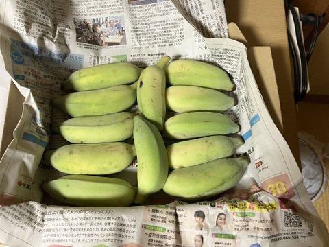 ナムワ系バナナ 〔自然栽培〕