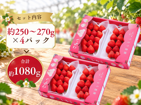 【予約販売 2026年11月下旬～順次発送】いちごの王様！あまおう苺 人気サイズ 約250g～270g×4パック（約1080g） デラックス等級