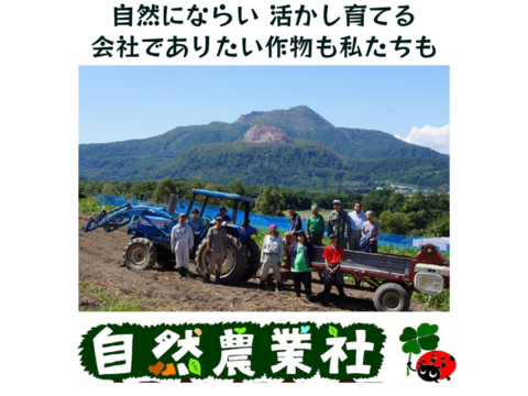北海道産有機ズッキーニ13ｋｇ　化学合成農薬・化学肥料・除草剤不使用　お試しお買い得価格！この時期だけ！
