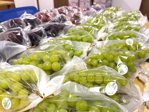 【高糖度｜JGAP取得】完熟シャインマスカット お試し1房(500ｇ×1房)