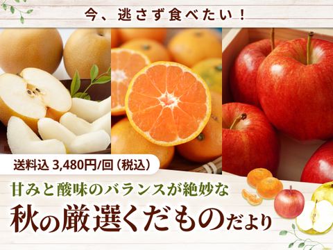 【食べチョク旬の食べ比べ便】ピンクレディ（りんご）