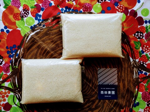 一等米【精米4kg（2kg×2袋）】特別栽培米コシヒカリ【80サイズ】令和5年産・有機質肥料のみ・動物性堆肥不使用・低農薬（80％以上削減）