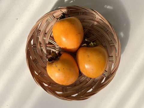 【栽培期間中農薬、化学肥料不使用】愛媛県エコファーマー認証　栄養満点！自分で作れる干し柿セット　5kg