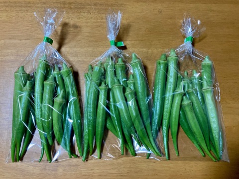 自然栽培の採りたて『島オクラ』約30本・約500ｇ【数量限定】