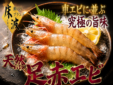 🦐知る人ぞ知る天然の濃厚甘味エビ🦐トロけるしっとり弾力が堪らない幻の希少海老☆天然国産『足赤エビ』約500g長州床波ブランド【朝どれ】【9月上旬予約】