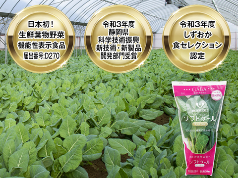 石井食品おまけ付【TV紹介で大好評】【ミシュラン星獲得レストランで採用】おいしさで、ケールに革命を。【機能性表示食品】ソフトケールGABA（500g）静岡県磐田市産