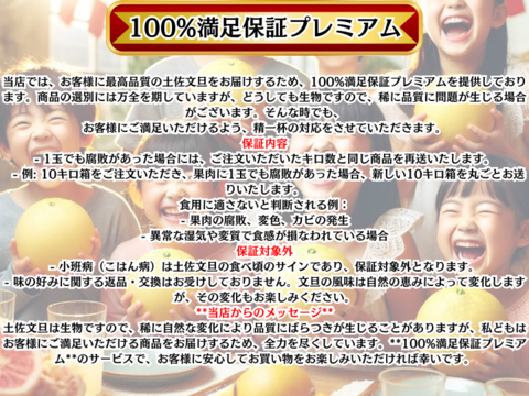 【日本ギフト大賞受賞】【厳選】園主こだわり土佐文旦【家庭用 】5kg大玉（８～12玉）　　　土佐文旦発祥の地：高知県土佐市産