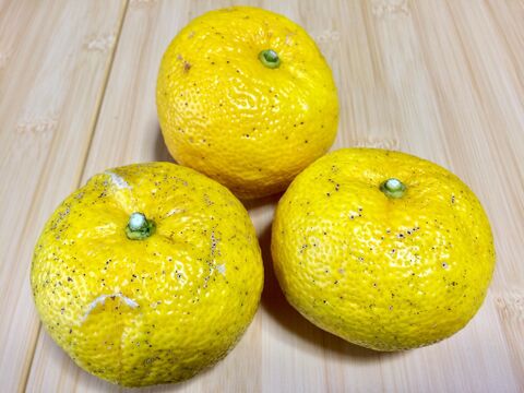 芳醇な香り！【高知県産】自然栽培・星空の柚子・3kg