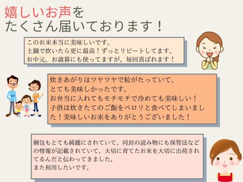 通常価格5 900円 セール価格4 990円 270年お米づくり一筋 特別栽培米 コシヒカリ 白米10kg 十代目松治が作った自信のお米 滋賀県産の白米 食べチョク 産地直送 産直 お取り寄せ通販 農家 漁師から旬の食材を直送