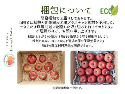 もぎたて 即日発送 りんご サンふじ 訳あり 家庭用 3kg 長野県産 信州りんご発祥の地 産地直送 除草剤不使用 人にやさしく環境にもやさしい