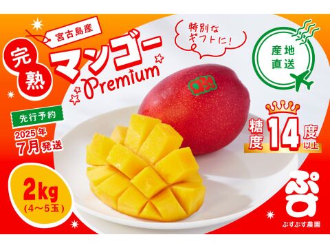 【夏ギフト】ぷすぷすプレミアムマンゴー2キロ（4～5玉）