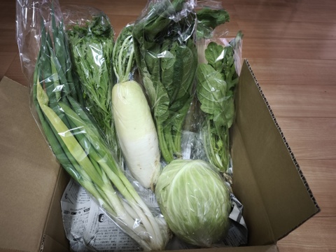 旬の露地野菜セット(お試しミニサイズ/5品程度)