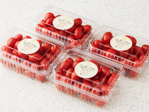 シュガープラム2kg 糖度10度以上の高リコピン(13mg)極甘・完熟・高糖度ミニトマト　ジューシーな甘さがクセになる(300004)