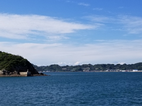 ☆愛媛の特産☆ 【 甘 平 】 ご家庭用　５kg