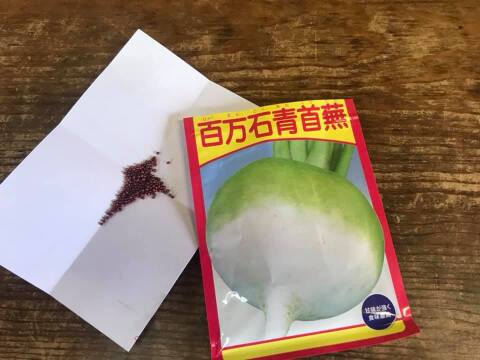 最高峰漬物・かぶら寿司【3枚】【年内限定】北陸冬の味覚代表