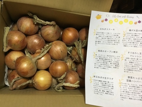信州・甘～い！玉ねぎ（５㎏）　農薬化学肥料不使用