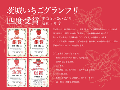 茨城いちごグランプリ3年連続受賞！　いちご農家おすすめの旬のいちご　 いちご（苺・イチゴ）【3L×4パック】