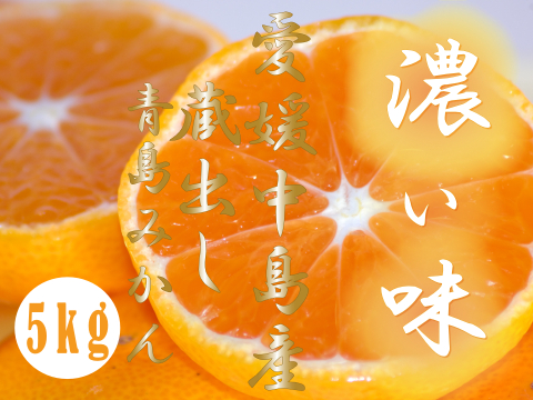 濃厚完熟　蔵出し　青島みかん　優品・5ｋｇ