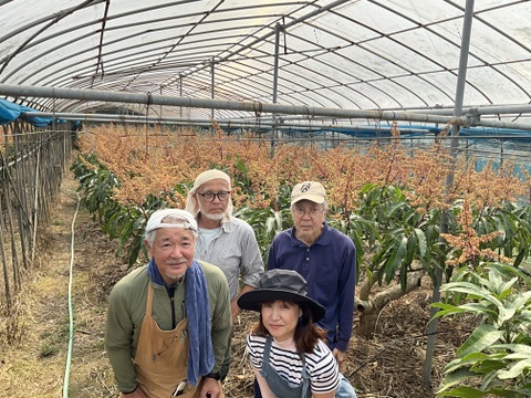 沖縄・東村の自然の中でひとつひとつ手作業で育てたこだわりの逸品。
見た目・味ともにワンランク上の贅沢マンゴー『アルメゴールド』