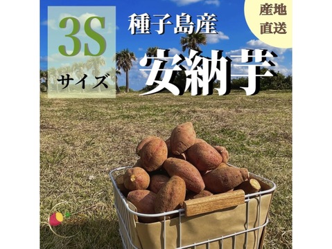 種子島産安納芋 3S&M 混合サイズ 2kg｜甘くて濃厚🍠｜aimo農園直送