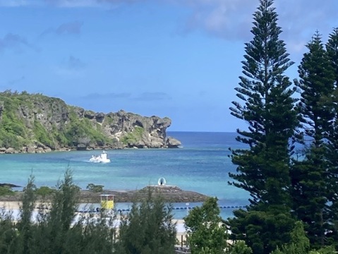 🌺販売中🌺\\ はじめましてセット //
【有機JAS認証】オーガニック芳醇パッションフルーツ/『ご家庭用1.2kg ¥3600→¥3000』/贈り物にも◎/芳醇な香り/濃厚な味わい！