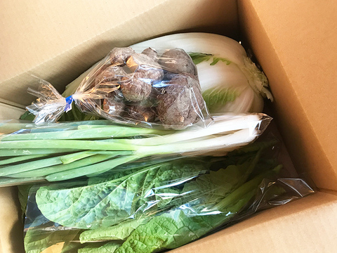 そぼくな旬の野菜4〜5品セット