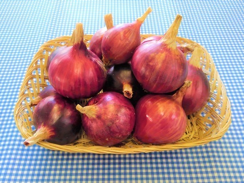 Af様専用】♥赤たまねぎ3kg・黄たまねぎ5kg♥:青森県産の玉ねぎ|食べ