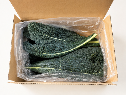 【毎日のスープに】カーボロネロ約600g｜黒キャベツ・栽培期間中 農薬・化学肥料不使用