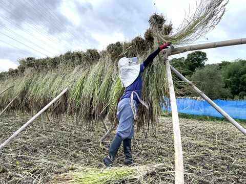 〈メール便〉古代米・雑穀よりどり3個【無肥料・栽培期間中農薬不使用 自然栽培 天日干し】