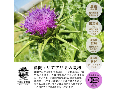 有機マリアアザミ茶 24包