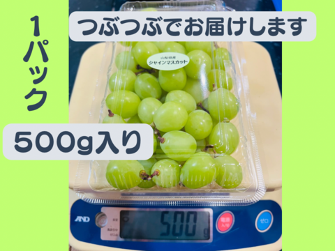 【たっぷり2キロ入り♪】山梨県産シャインマスカット粒々パック【500g×4パック】