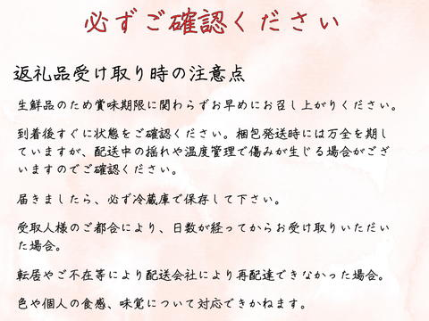 なつっこ４～６玉 ギフトボックス【2025年先行予約】【信州長野県産】※7月下旬発送開始