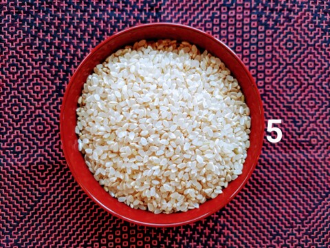 【５分づき＊１０ｋｇ】 栽培期間中農薬不使用コシヒカリ🌱天然資材＆有機質肥料のみ使用🌱化学肥料・除草剤・動物性堆肥不使用✨米・穀類🥇１位受賞✨食べチョクAW2023【令和７年産】一等米✨