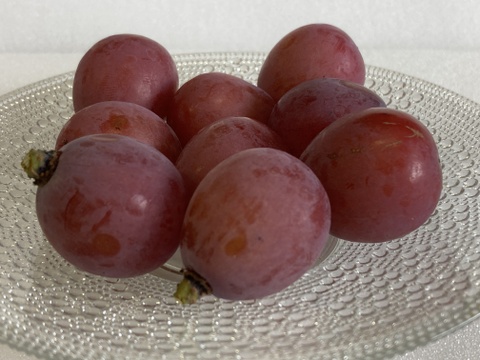 赤ブドウの女王　クイーンニーナ（700g）