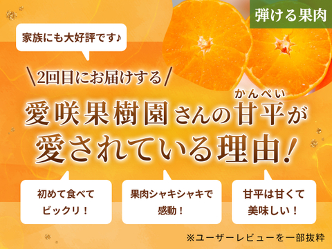 【限定200セット】冬の高級柑橘フルコース便🍊（食べチョク公式）