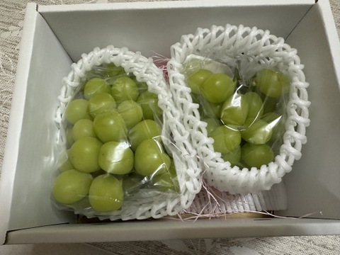 限定追加100箱【訳あり品 大ボリューム】化学肥料・除草剤不使用 山形県産 シャインマスカット 約800g～1.2kg以上　SHAW02-02