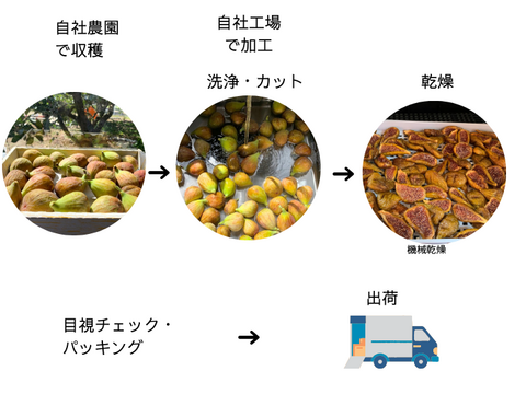 〈メール便〉新しい食感のドライいちじく25ｇ×3パック　砂糖不使用　静岡県牧之原産　国産　セミドライ　自社製栽培・自社製造