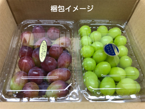 「粒売り」濃厚果汁クイーンニーナ　800g 粒2パック　『クール便』