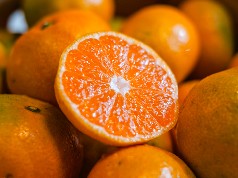 愛媛みかんの老舗厳選【濃厚な甘みと程よい酸味】みかん 3.5kg【愛媛県川上産】【冬ギフト】