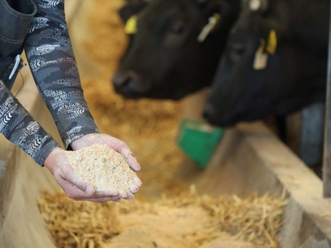 レバー 1kg やわらかい肉質と濃厚な味わい！和牛オリンピック日本一の農場からお届け