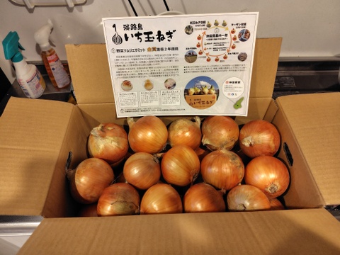 【野菜ソムリエサミット金賞🏆】淡路島玉ねぎ10kg